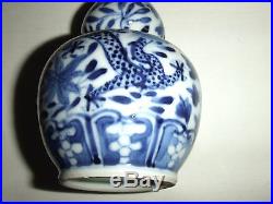 19th Century Chinese Antique Porcelain Kangxi Blue & White Dragon Vase