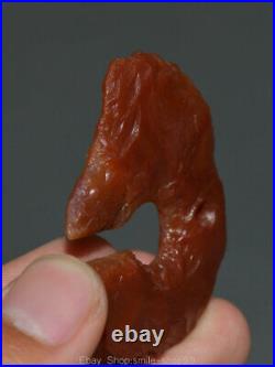 2 Old Chinese Hongshan Culture Red Agate Dynasty Pig Dragon Gou Pendant