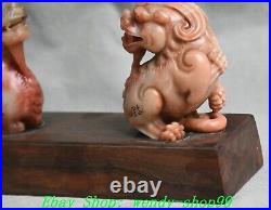 7 Old Chinese Natural Shoushan Stone Carve Fengshui Dragon Lion Statue Pair