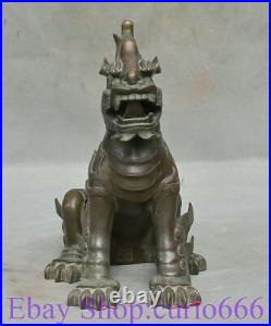 9 Rare Old Chinese Copper Feng Shui Unicorn Kylin Dragon Beast Lucky Statue