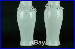 A Pair of Early Antique Chinese Blanc de Chine Dragon Vases