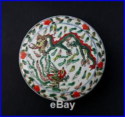 Antique Chinese Porcelain Box Famille Verte Painted Blue Mark Carp Dragon Birds