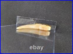 Ancient Chinese Jade Rare Fine Western Zhou Hetian Jade Dragon Xi