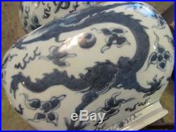 Antique Chinese Blue White Porcelain Lamps Birds 5-Claw Dragon Rare Vase Shape
