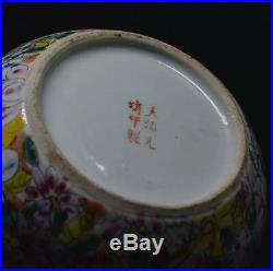 Antique Chinese Porcelain Bat and Dragon Bowl Marked Large size