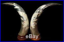 Chinese Dragon Decorated Polished Cow Horns set on Wooden Bases Large 11