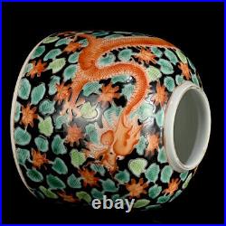 Chinese Multicolored Porcelain HandPainted Dragon Pattern Brush Washer 22559