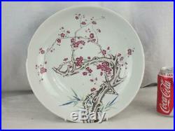 Fine 19th C Chinese Kangxi And Dragons Marks Flowering Prunus Saucer Dish