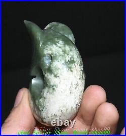 Old Chinese Hongshan Culture Natural Hetian Jade Yu Pig Dragon Hook Pendant