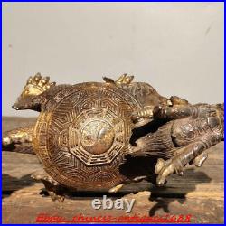 Old chinese bronze Gilt Feng Shui wealth lucky loong turtle Dragon turtle statue