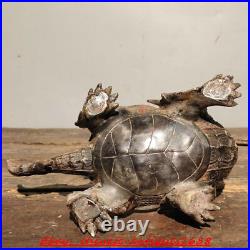 Old chinese bronze Gilt Feng Shui wealth lucky loong turtle Dragon turtle statue