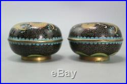 Pair Chinese Cloisonne Black Enamel Dragon Trinket Snuff Pill Box