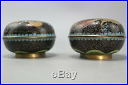 Pair Chinese Cloisonne Black Enamel Dragon Trinket Snuff Pill Box