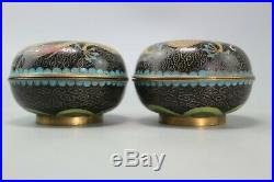 Pair Chinese Cloisonne Black Enamel Dragon Trinket Snuff Pill Box