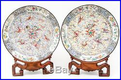 Pair Rare and Important Chinese Kangxi Enamel Glazed Dragon Chargers with Stands