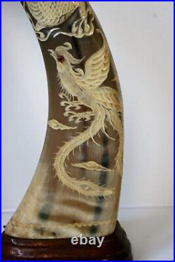Pair of Vintage Chinese Ox Water Buffalo Horns Carved With Dragon, Phoenix 16in