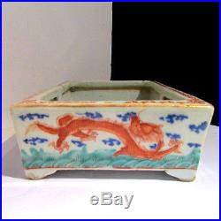 Rare Antique Chinese Famille Porcelain Dragon Planter Qing Mark Wood Stand 19c