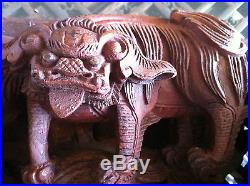 Spectacular Chinese Antique Wood carved Relief ZheJiang Fu Dog Camphor Dragon
