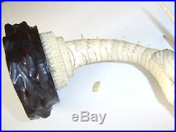 Very Rare Exceptional Fine Quality Chinese Antique Carved Bovine Bone Dragon